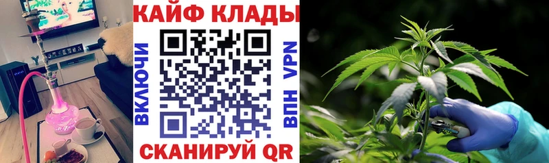 Наркошоп Калининград COCAIN Конопля Меф Псилоцибиновые грибы Гашиш
